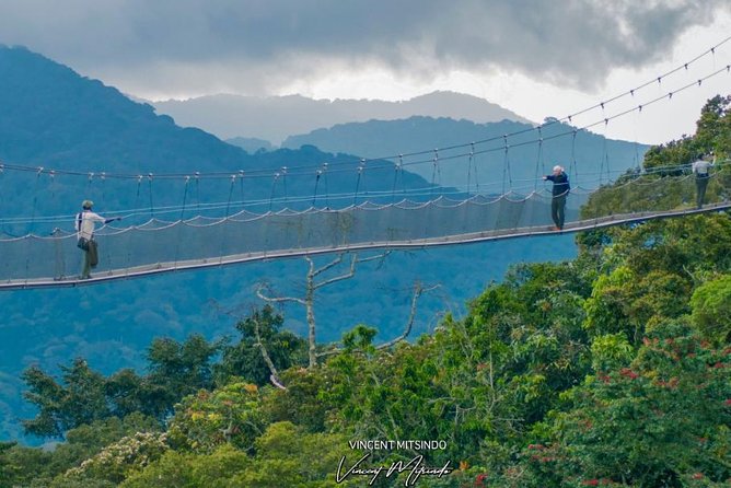 Nyungwe National Park
