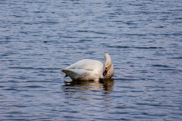 Lake Mburo National Park