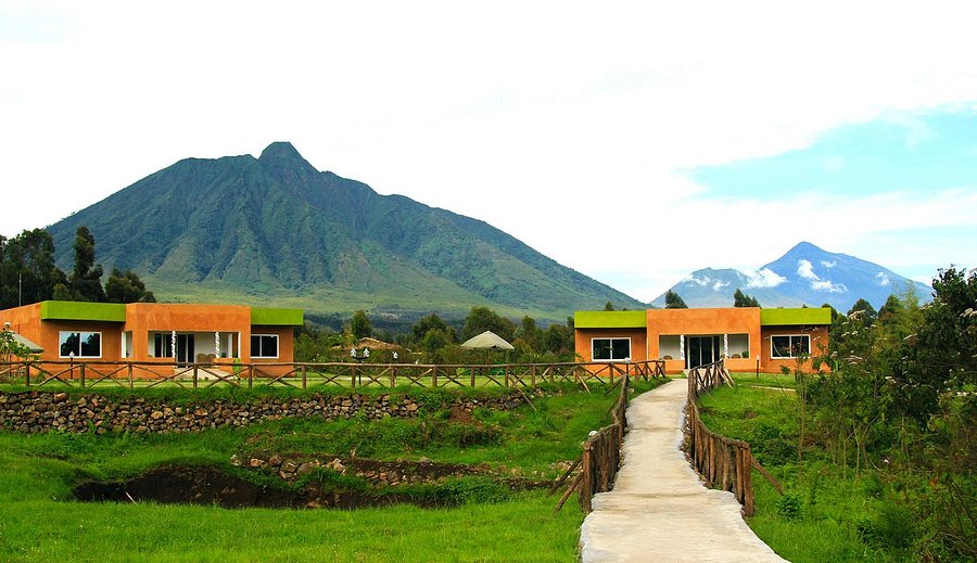 Lodges Near Volcanoes National Park