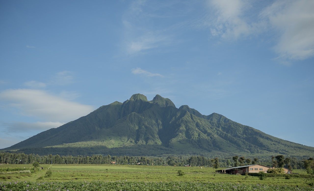 4 Days Volcanoes National Park Safari