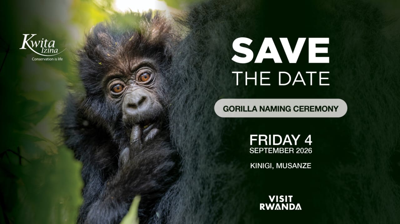 kwita-izina-2026-seek-wild-africa-rwanda