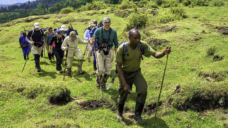 hiking mount karisimbi