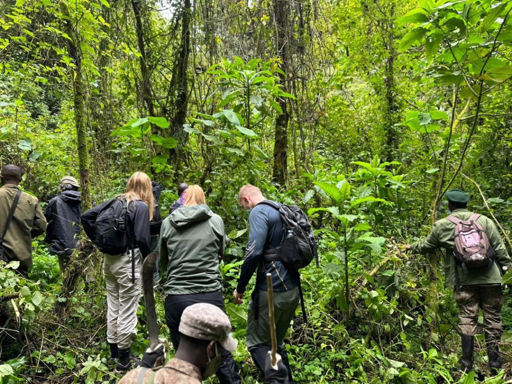 tourists in volcano