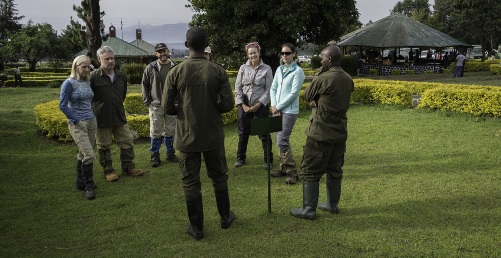 tourists with guides