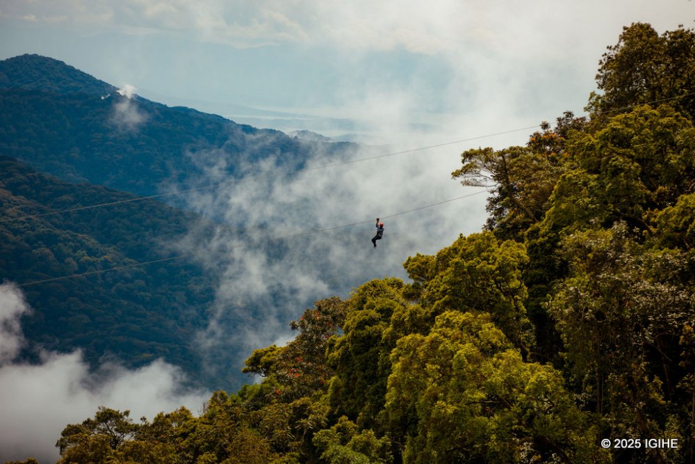 nyungwe forest