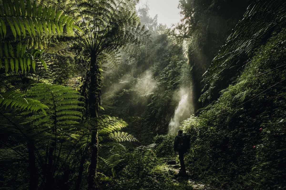 water fall