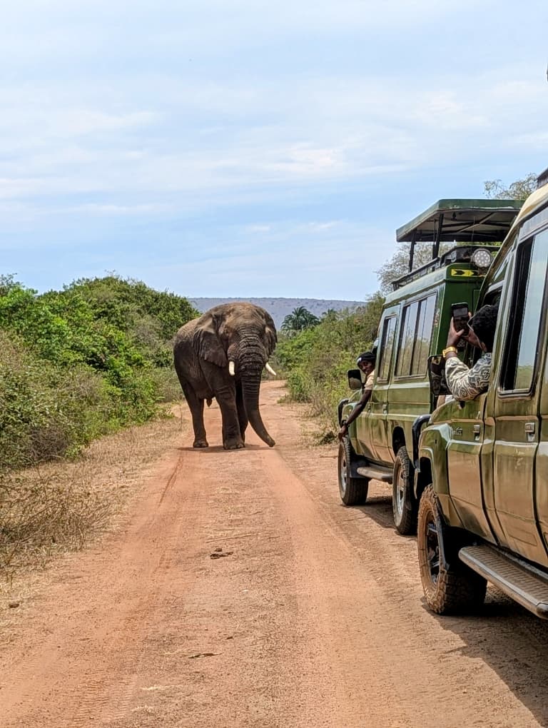 2 Days Akagera National Park Safari with Boat Cruise – Rwanda Big Five Wildlife Adventure